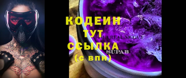 дживик Арсеньев