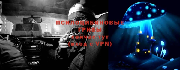 дживик Арсеньев