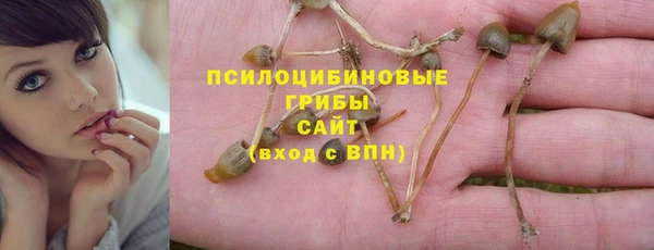 дживик Арсеньев