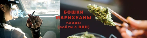 a pvp Аркадак