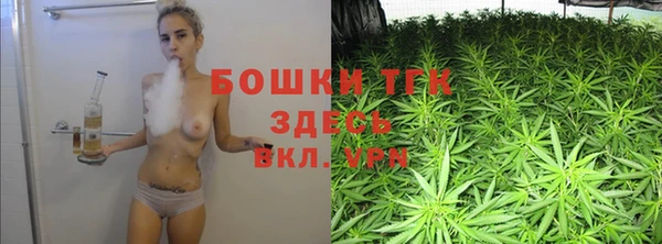 дживик Арсеньев