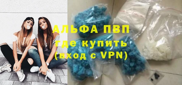 a pvp Аркадак